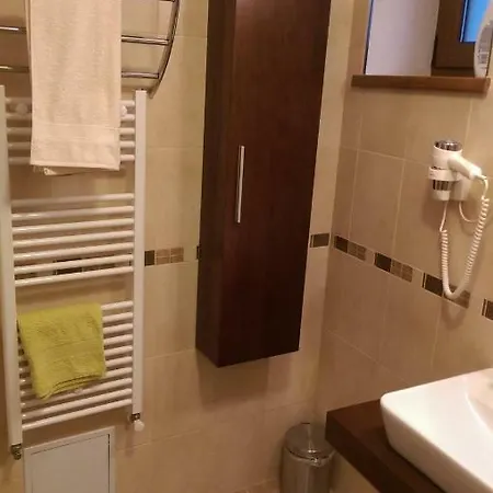 Aterman Apartment's Apartment Sinca Veche